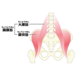 腸腰筋