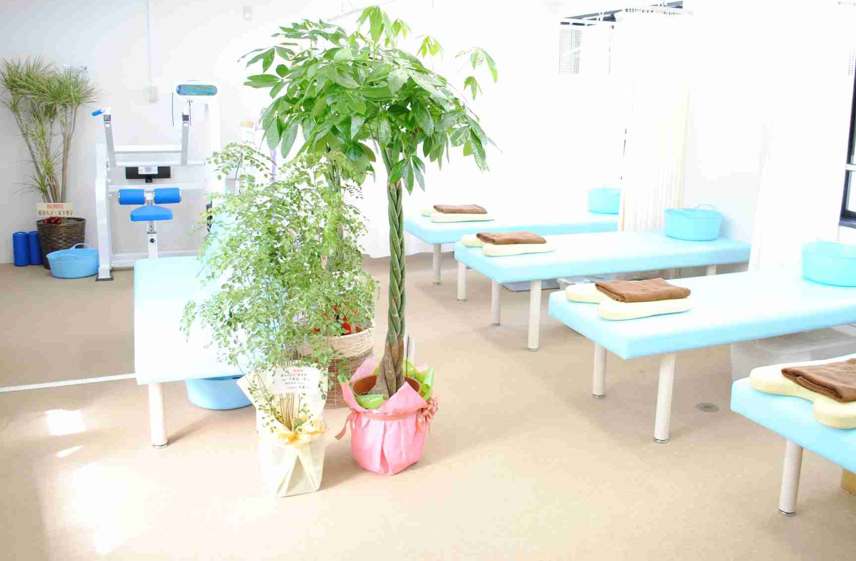 吸玉療法 カッピングのよくある質問 横浜の吸玉療法は横浜seed整骨院 大倉山駅前 横浜seed整骨院 吸玉療法 カッピングのよくある質問 横浜の吸玉療法は横浜seed整骨院 大倉山駅前 横浜seed整骨院