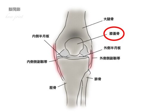 膝蓋骨