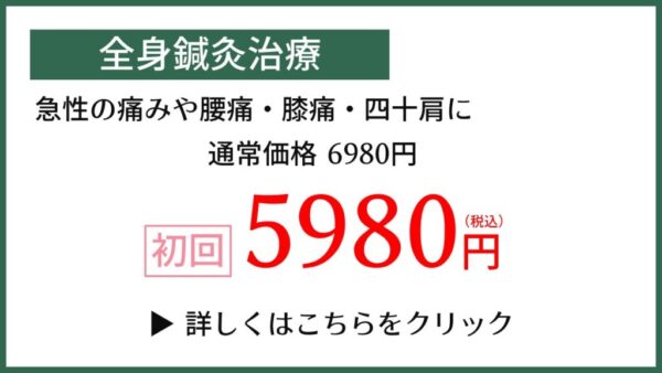 全身鍼灸治療初回キャンペーン5980円